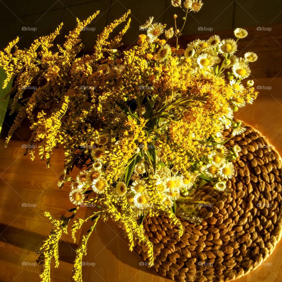 Wild flowers in sunlight.