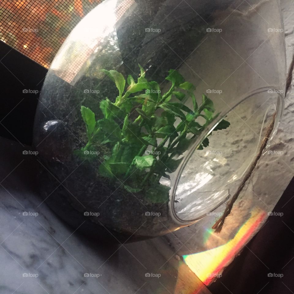 earth as we know it.