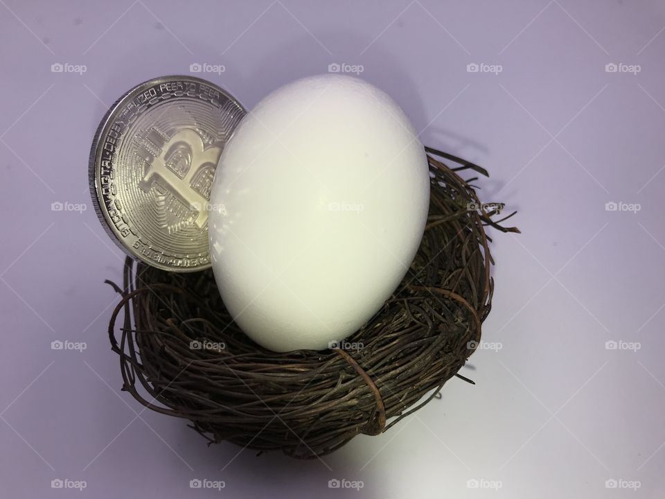 Small nest with egg and bitcoin 