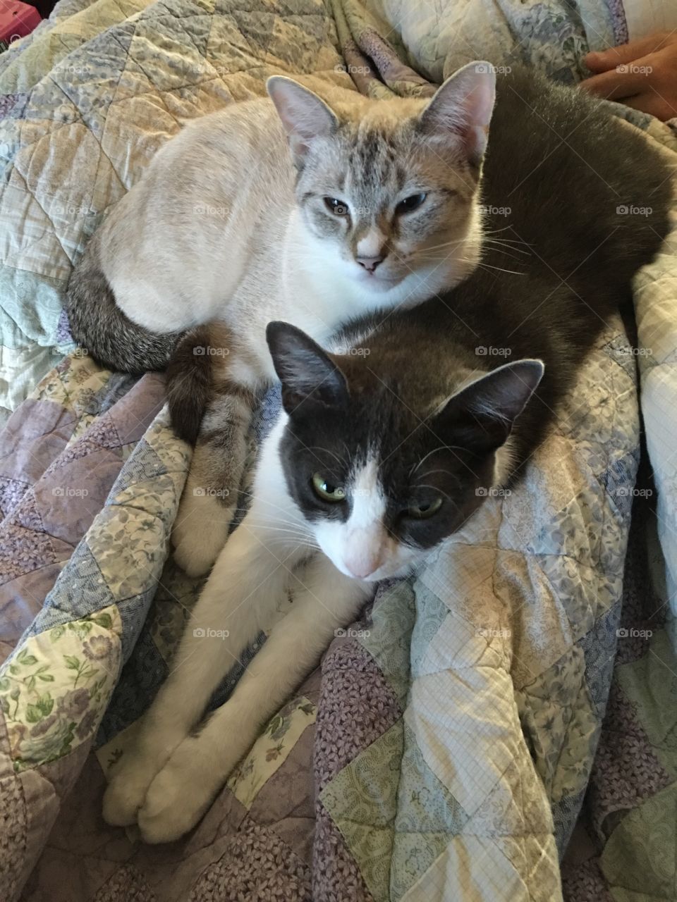 These two didn't always see eye to eye, but now they are inseparable 