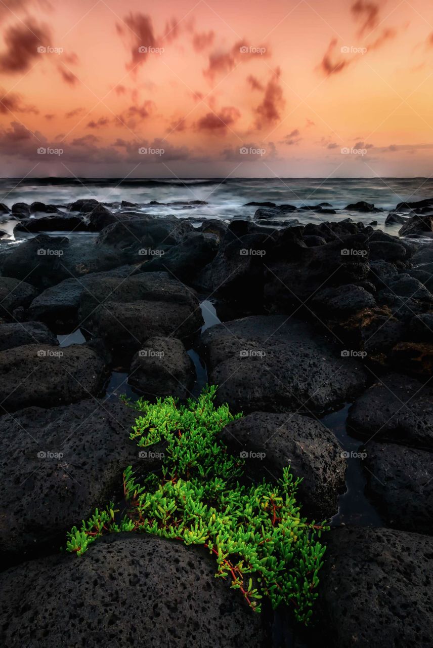 Kauai Sunset