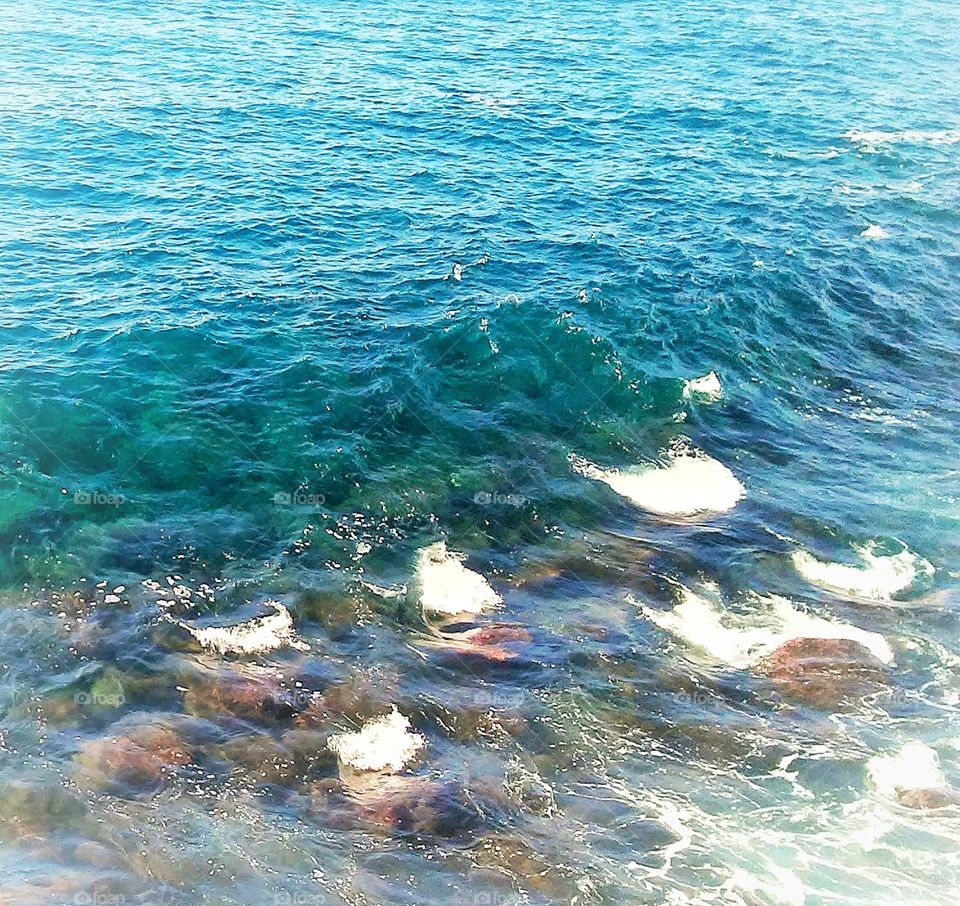 Big Isle East Coast 9