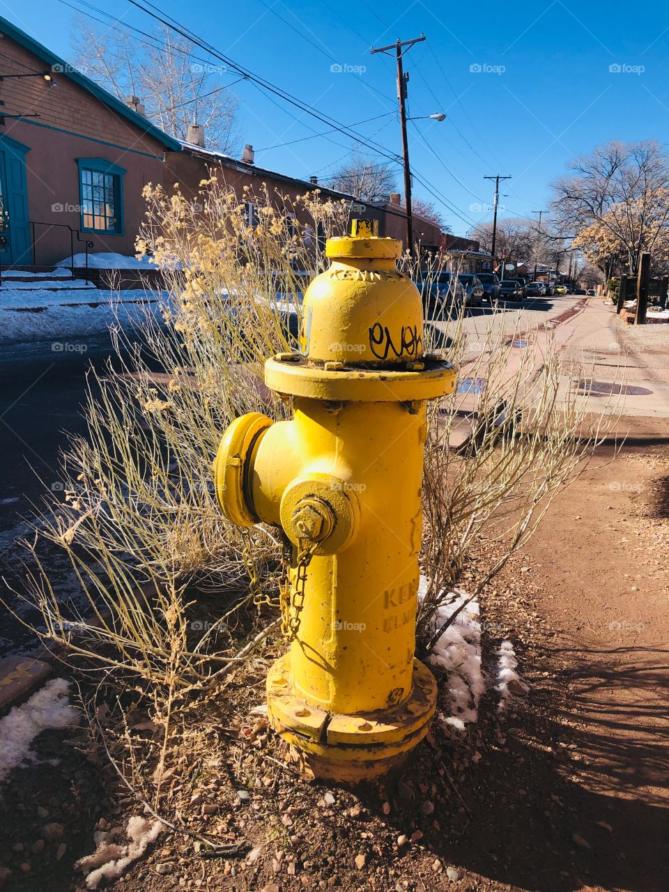 Fire Hydrant