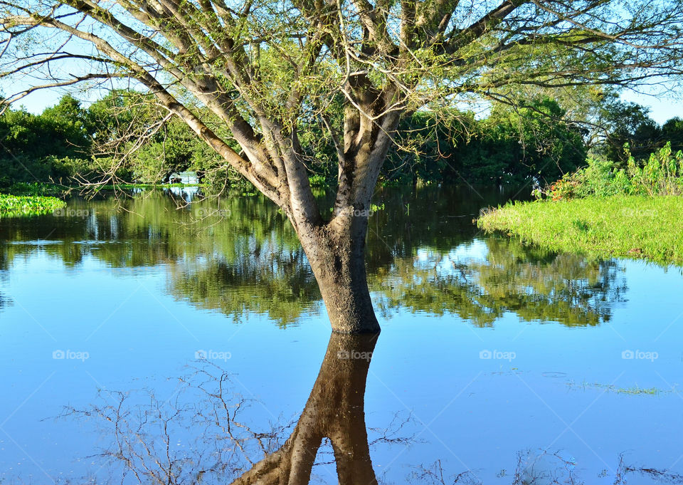 reflection