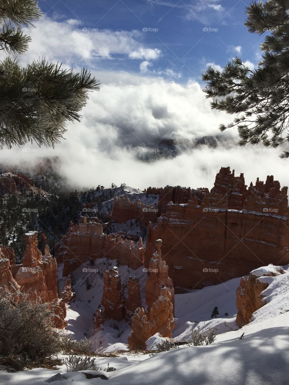 Winter comes to the Canyon 