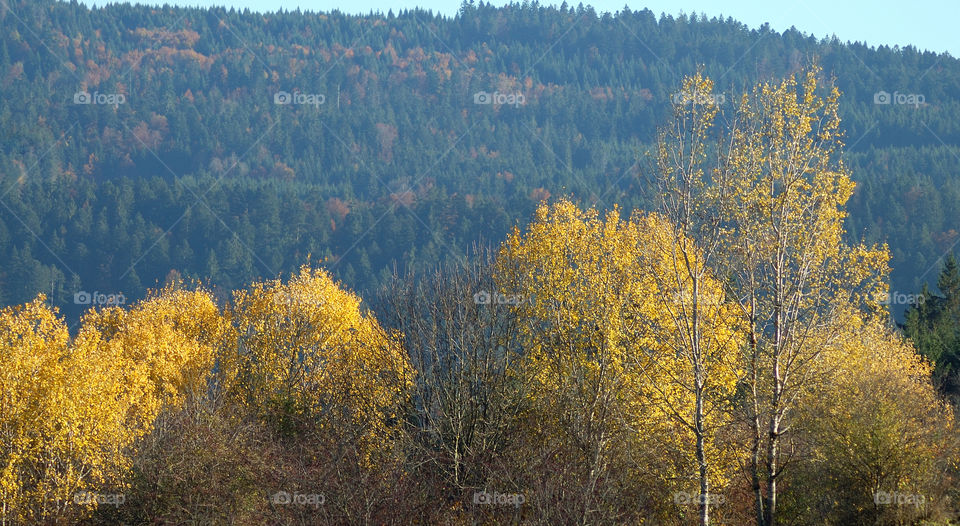 Promenade dans le Val de Morteau