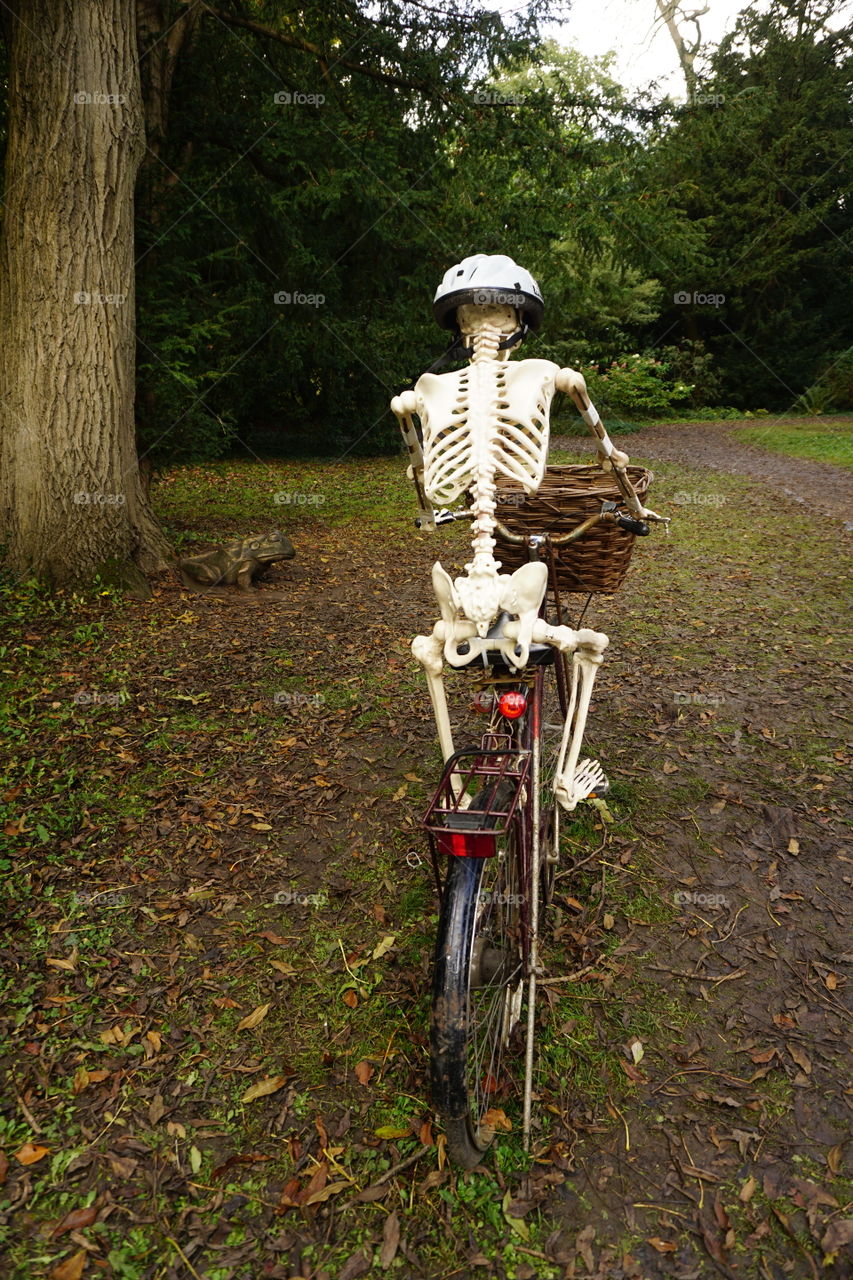 Halloween decorations in the woods … skeleton riding his bike … wearing a crash helmet 🎃 😂