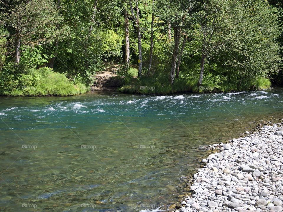 The beautiful waters of the McKenzie River rush along its lush green banks in the Willamette National Forest in Western Oregon on a sunny summer day.