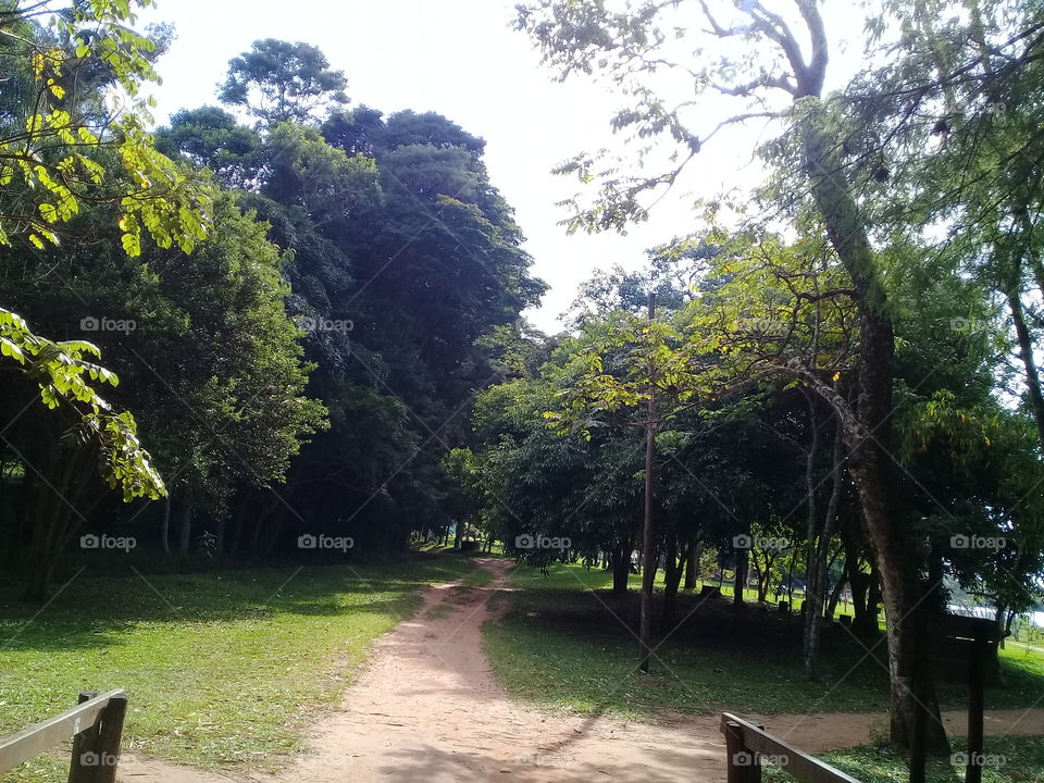 Park in Brazil