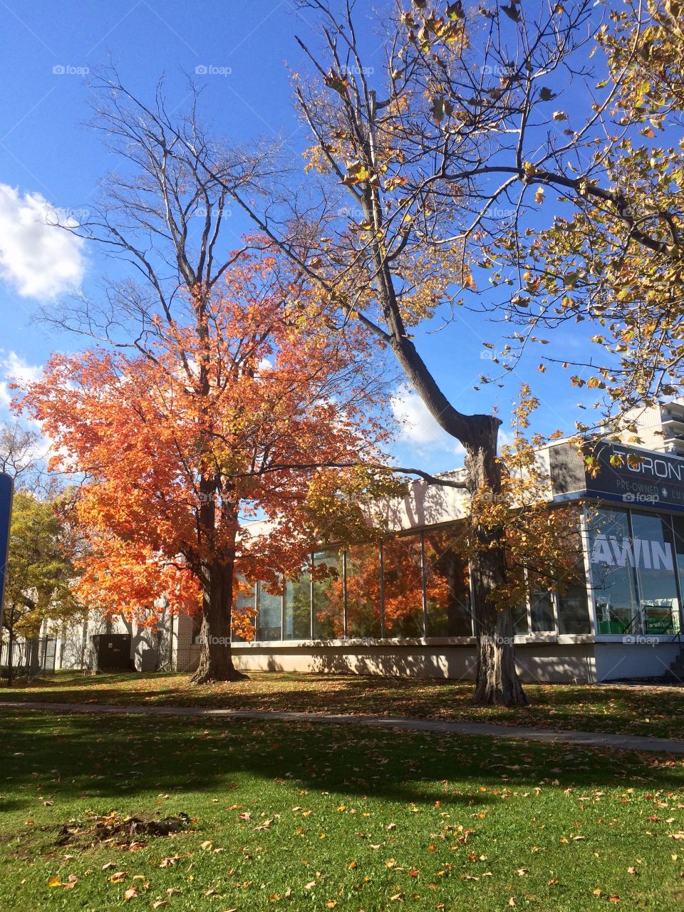 Beautiful Autumn Toronto 