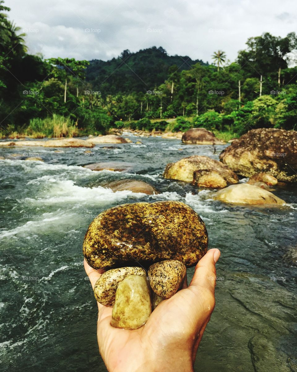 Stones at forest stream