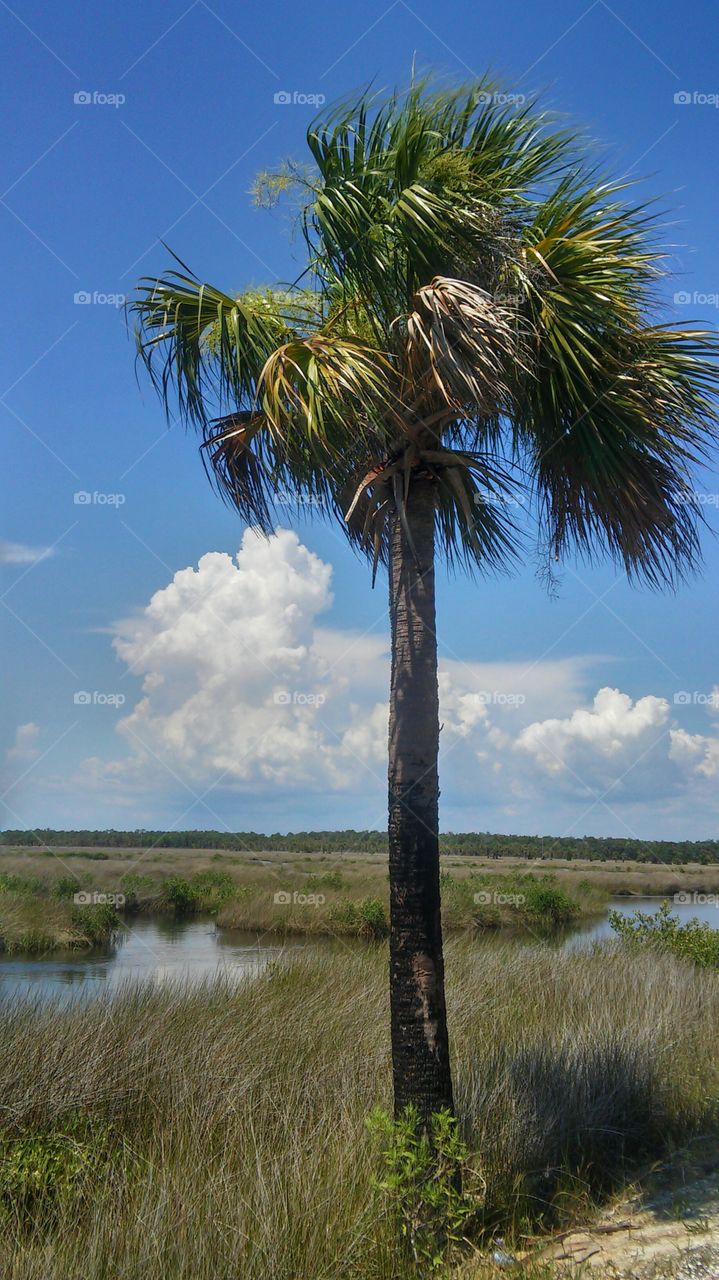 No Person, Water, Nature, Sky, Outdoors