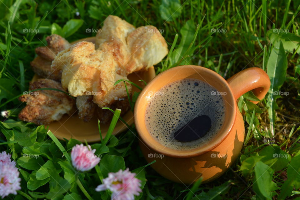 Close-up of breakfast in plants
