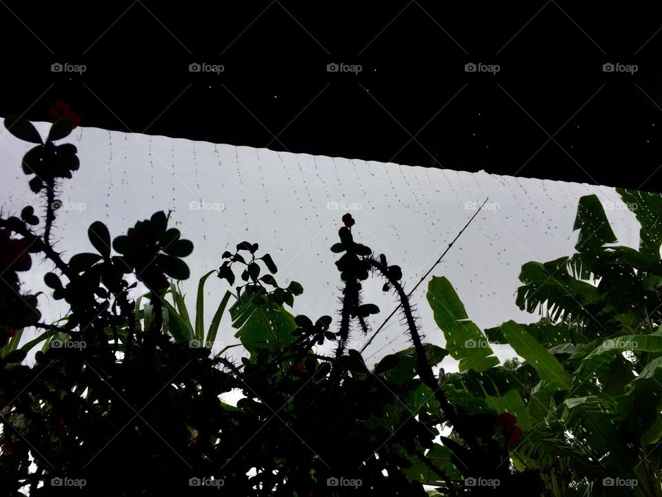 Rain makes everything beautiful.