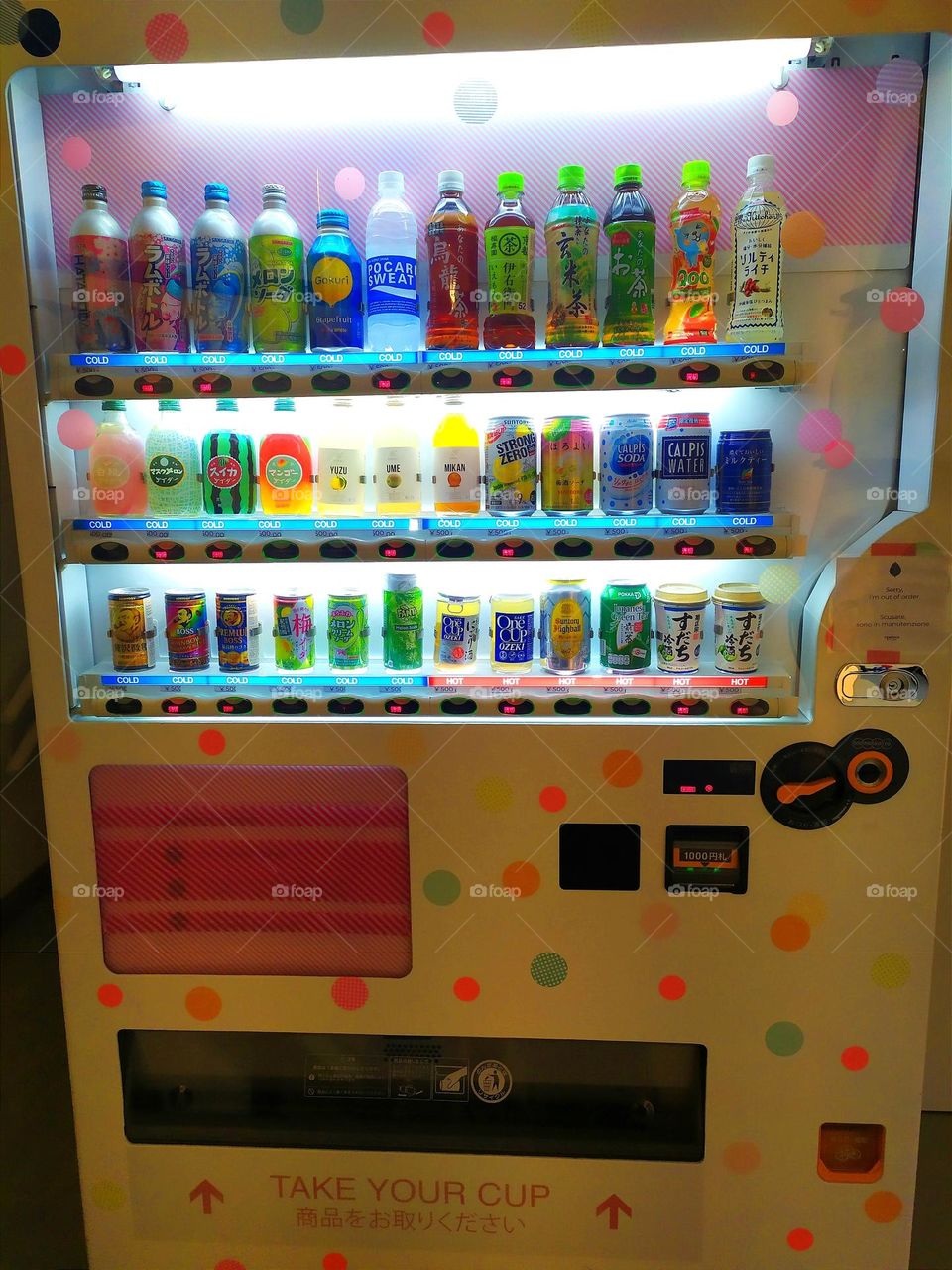 Japanese vending machine