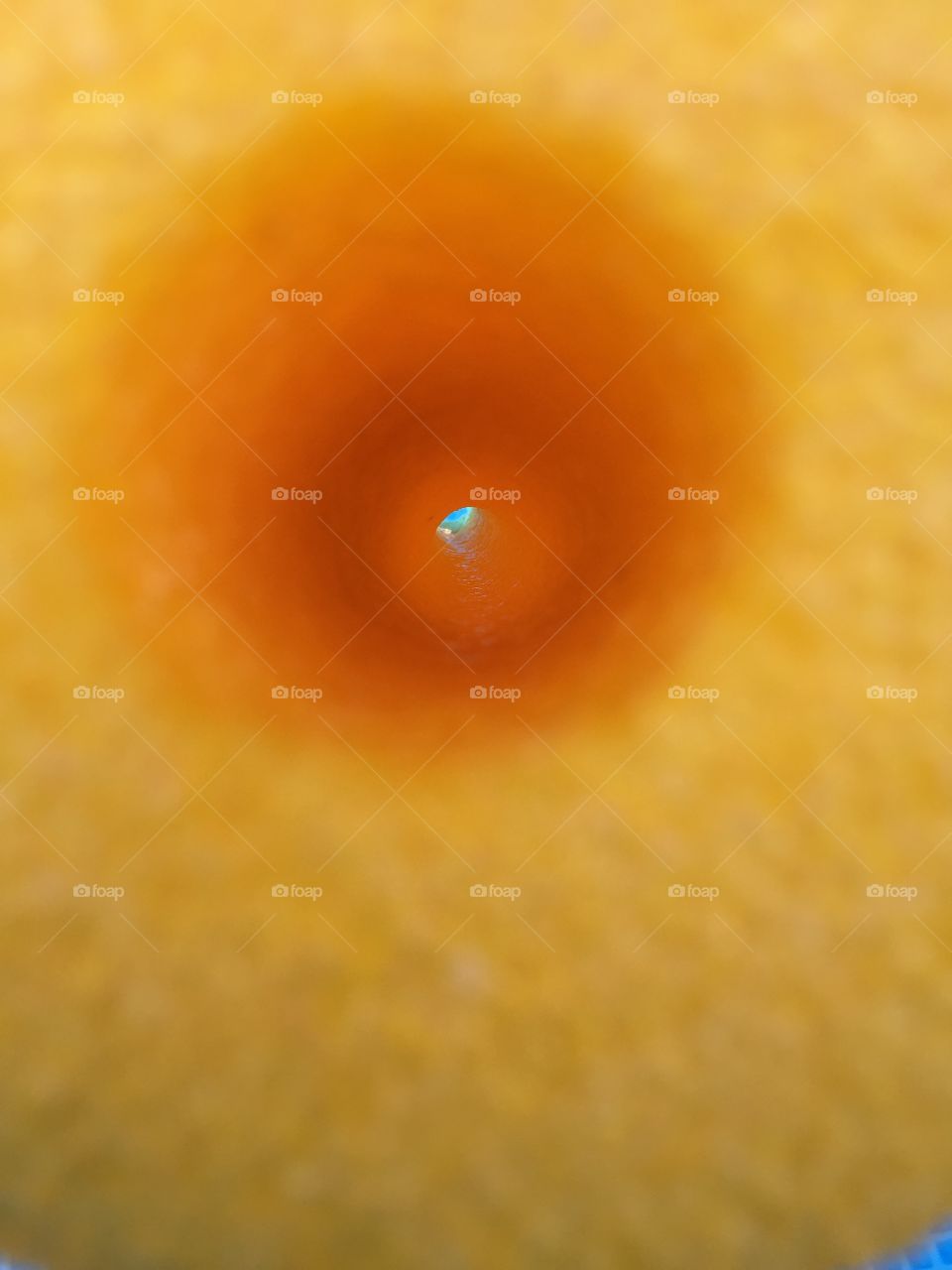 This is the inside look through a foam pool orange float toy . 