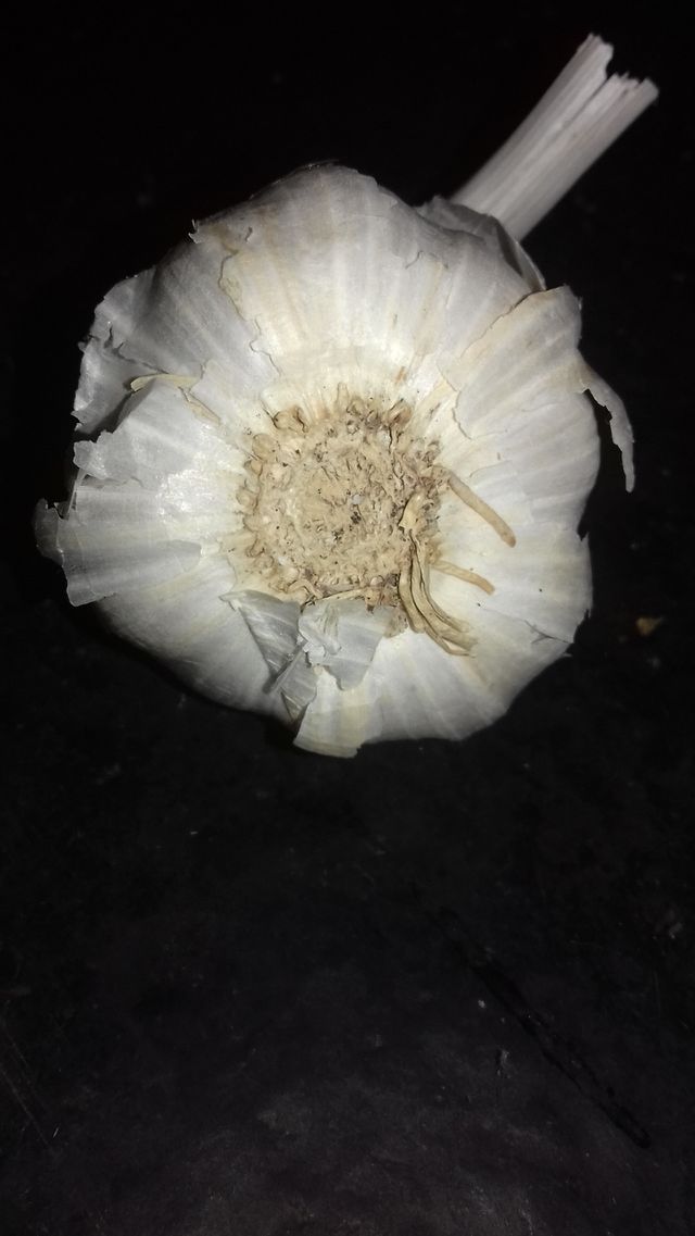 combination of black and white