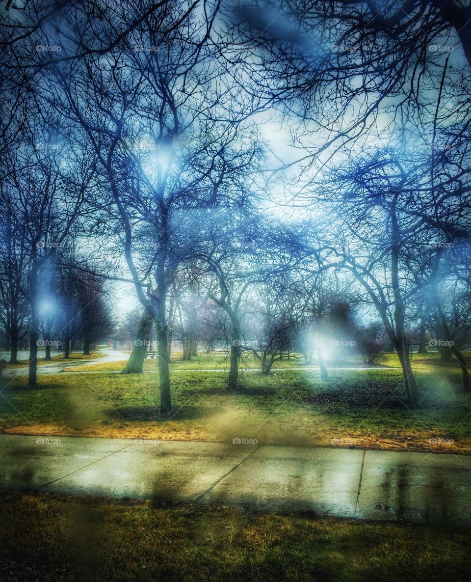 Chicago Series: View of Jackson Park through Raindrops on the Window of a Bus