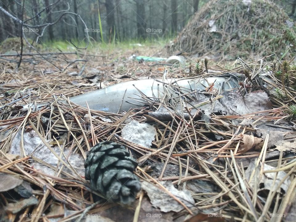 An old glass bottle in the woods on dry grass