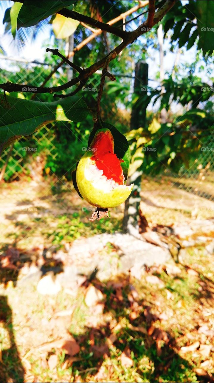 Editor choice photos line