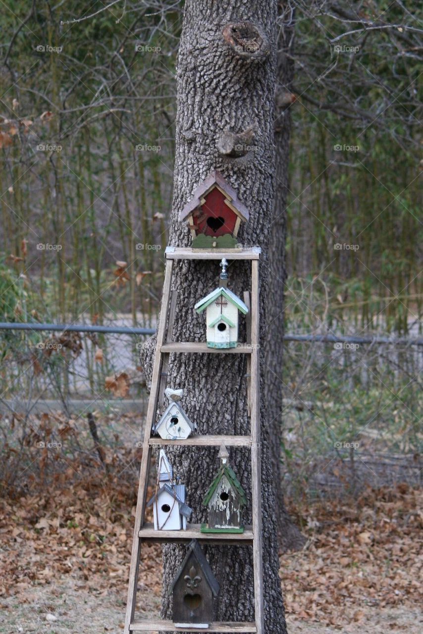 Birdhouse Motel