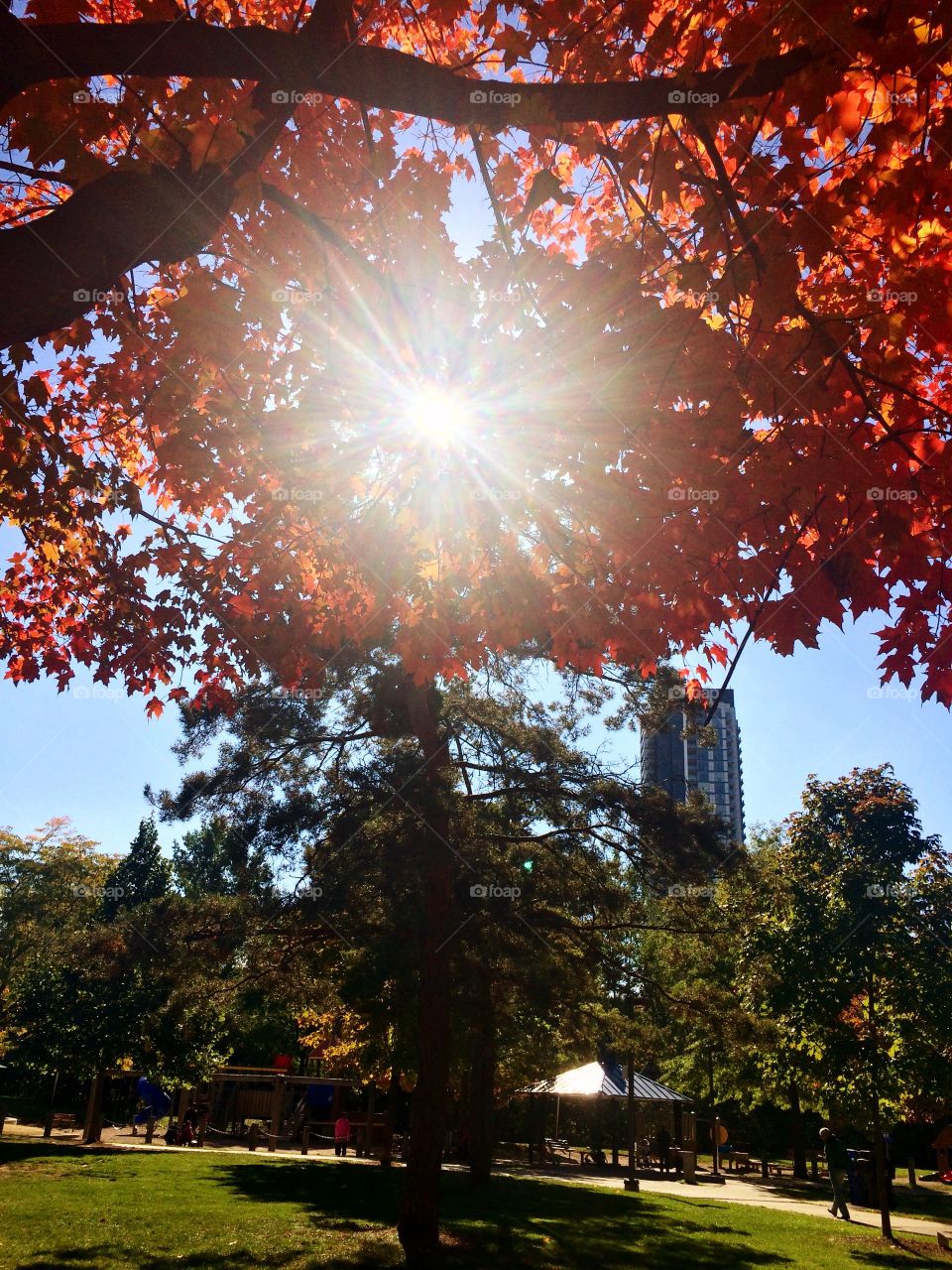 Beautiful Autumn ,Canada