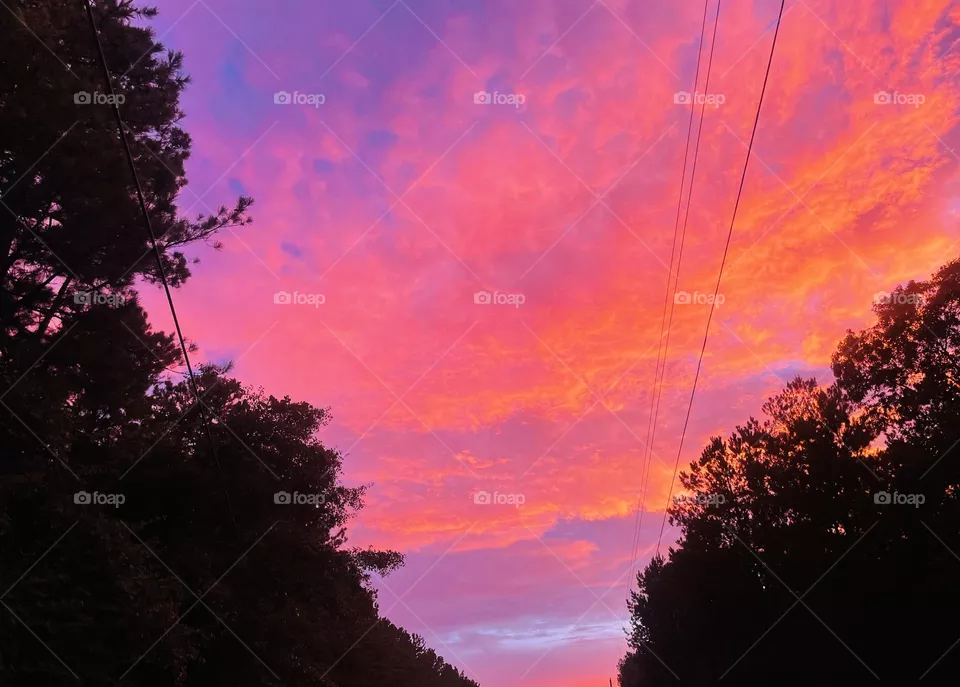 Summer sunset