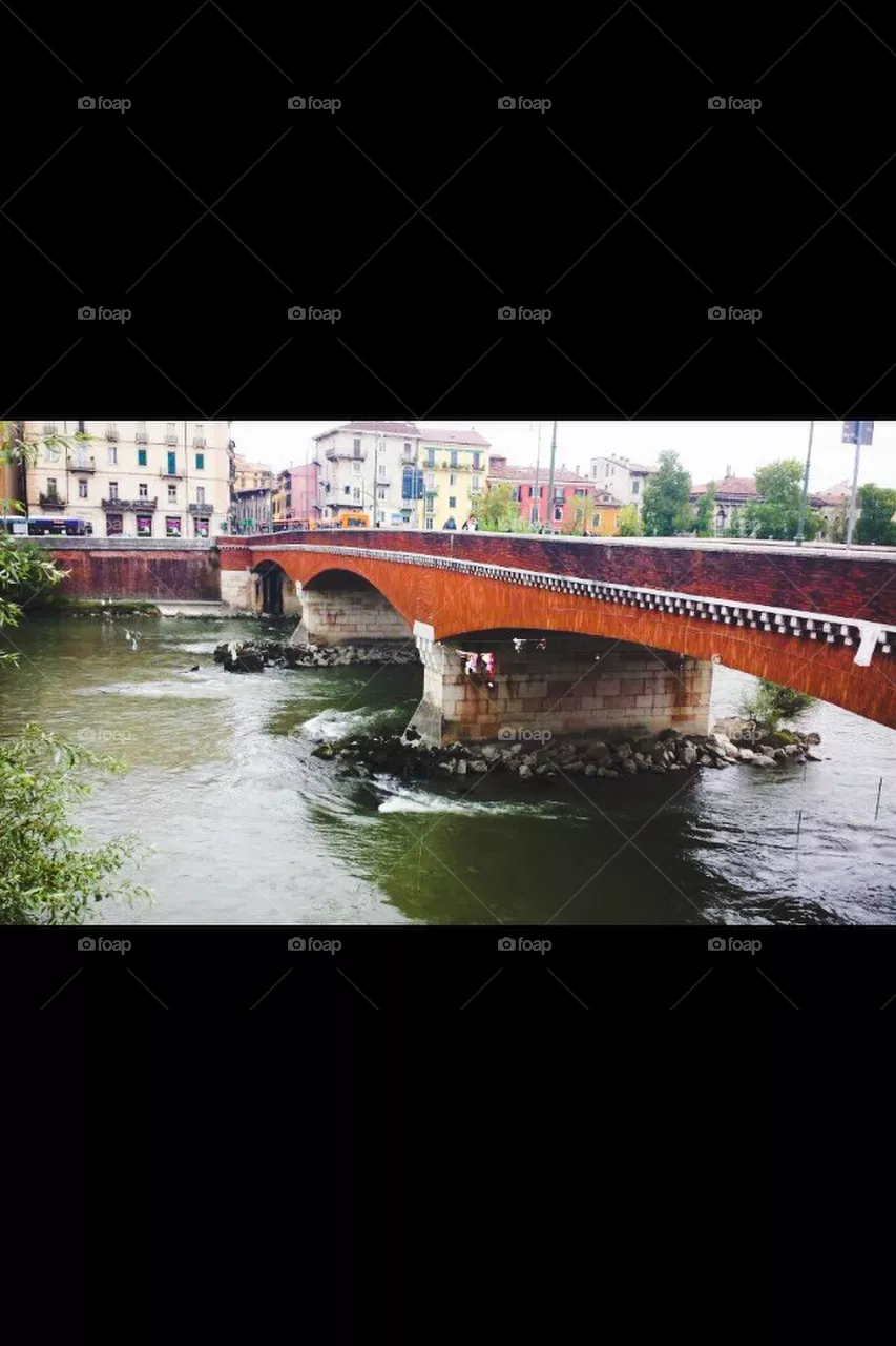 bridge