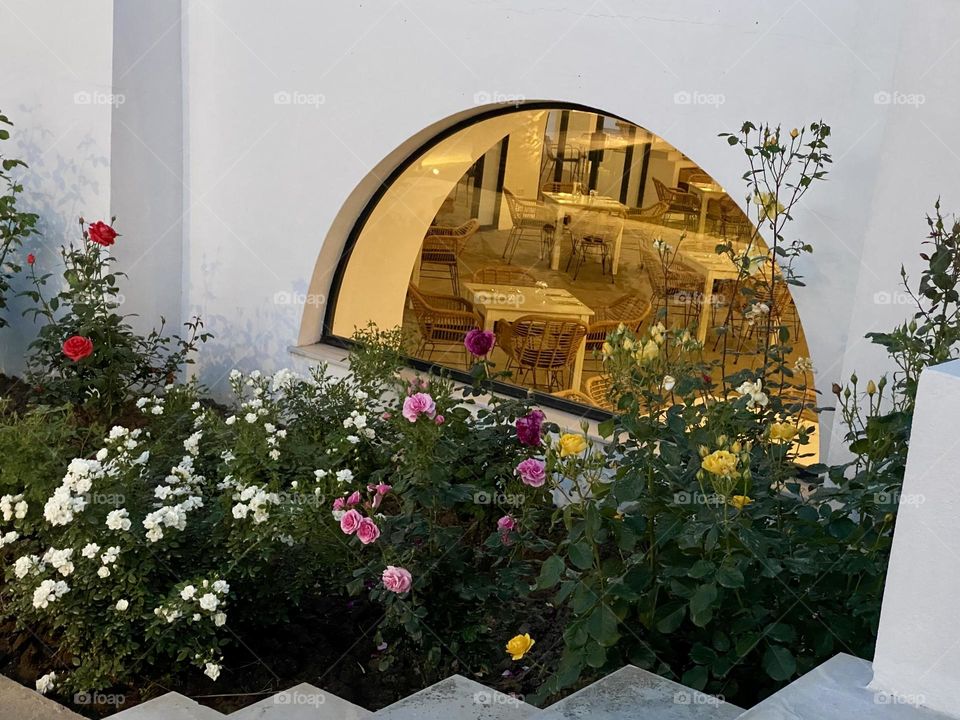 Flowers in the garden and window 