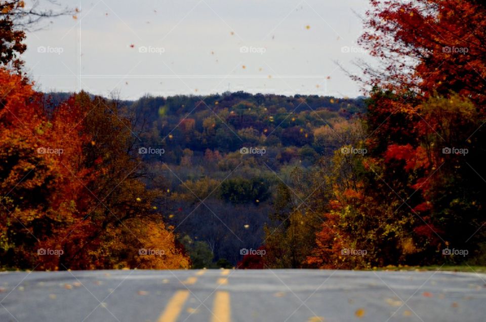 Autumn on Johnson road
