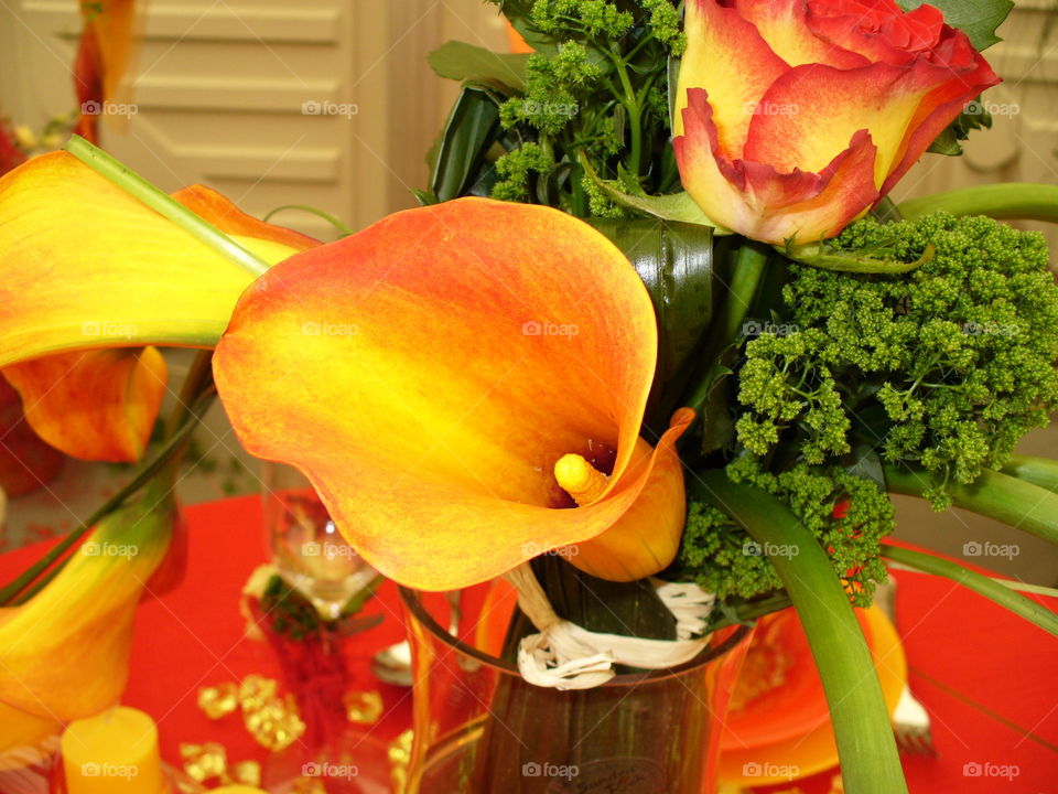 Calla Flower