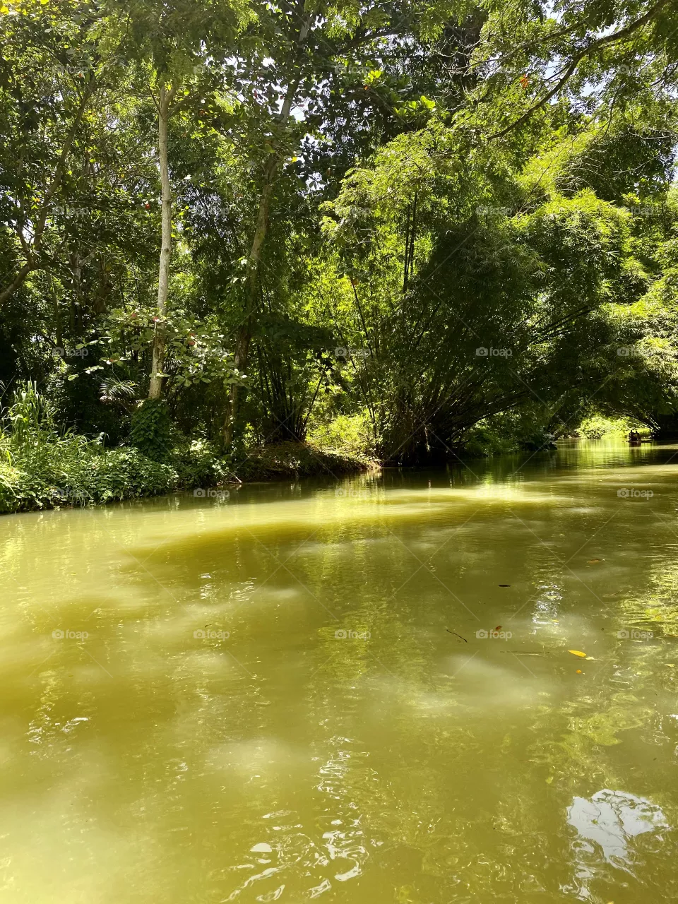 Martha Brae River