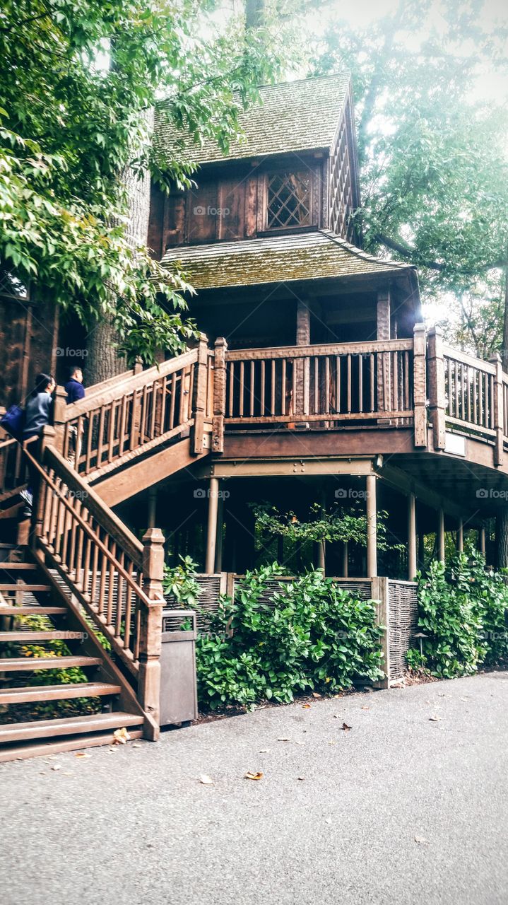 tree house