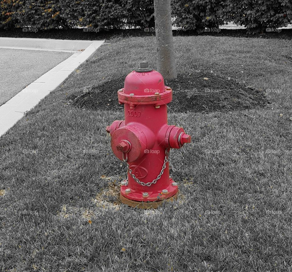 fire hydrant. Good ol fashioned fire hydrant in the city