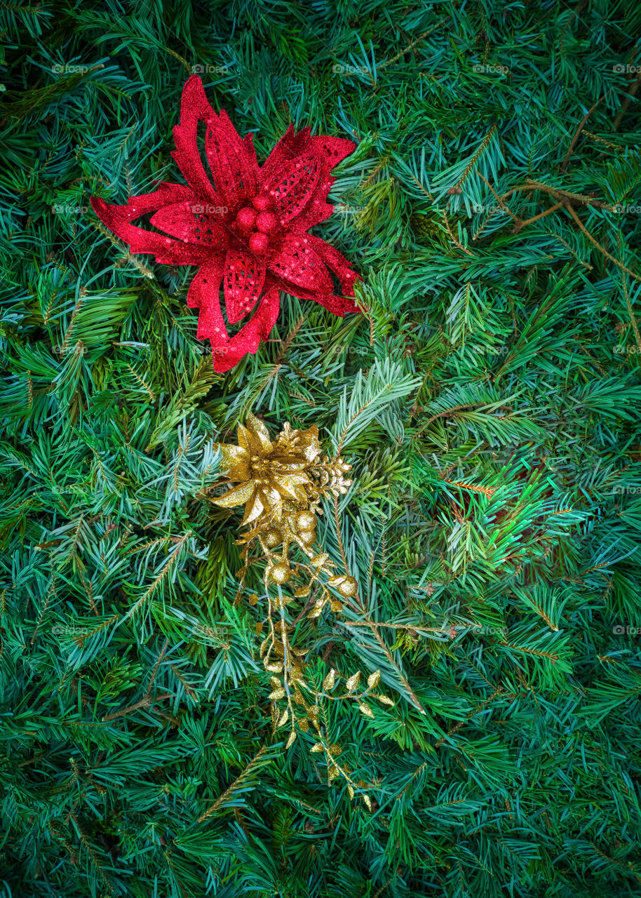 Red and golden Christmas decorations on fir branches.