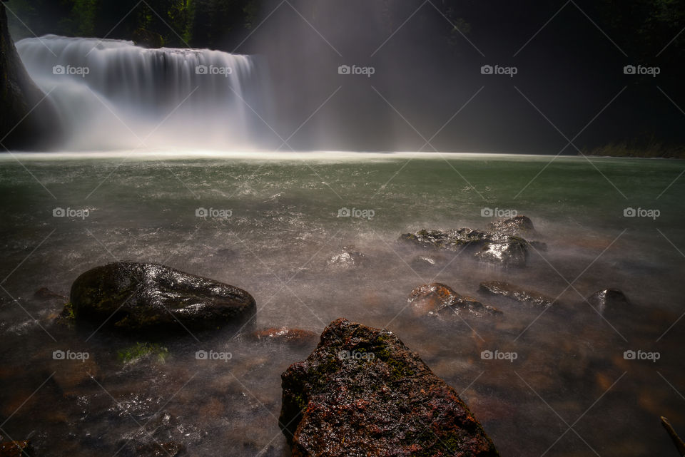 Lewis river falls in forest