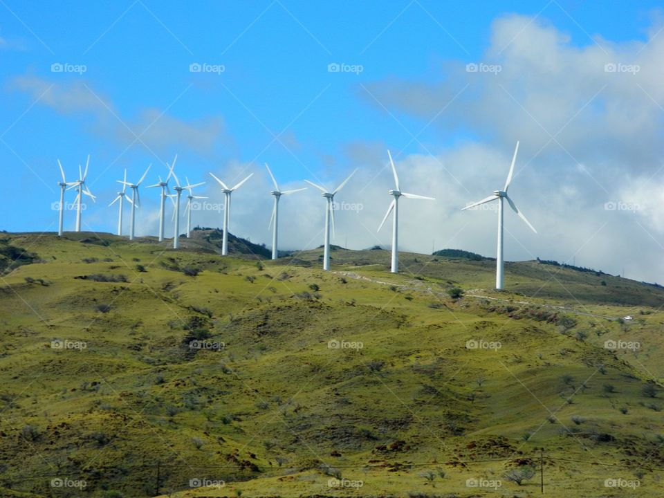 Wind farm