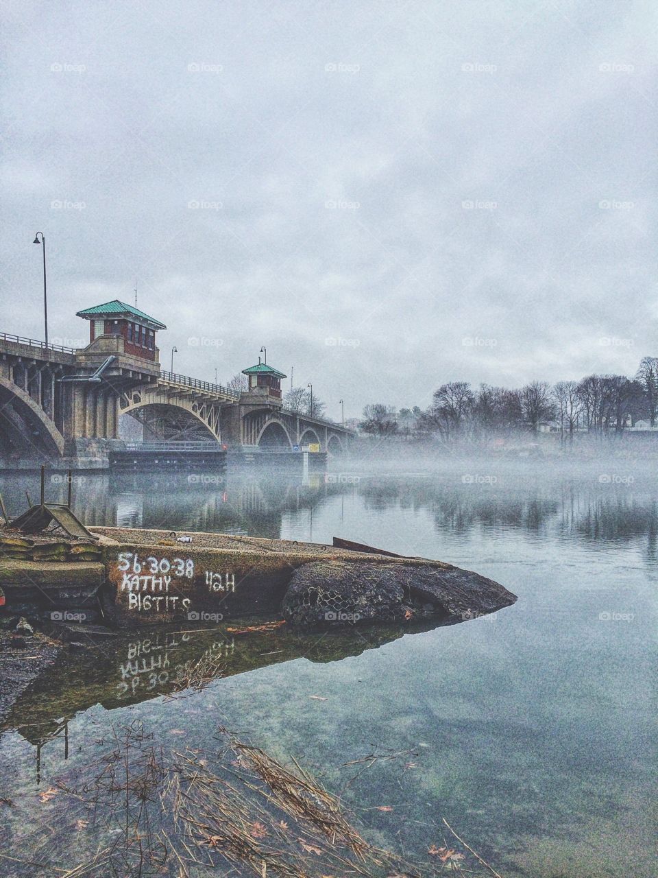 Foggy Harbour 