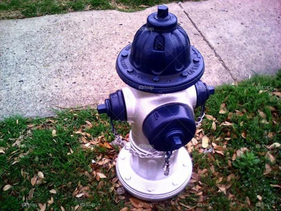 Dallas Cowboys Irving, Texas Water Hydrant