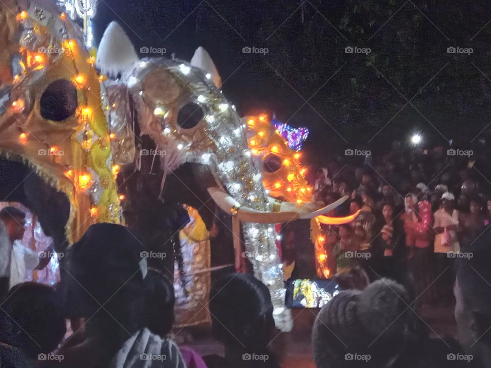 elephants are shown walking in procession.