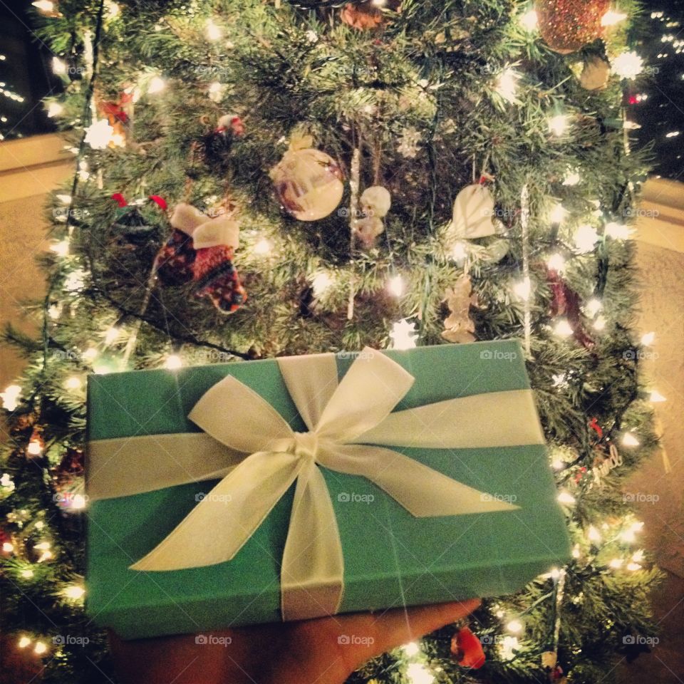 A Tiffany Christmas