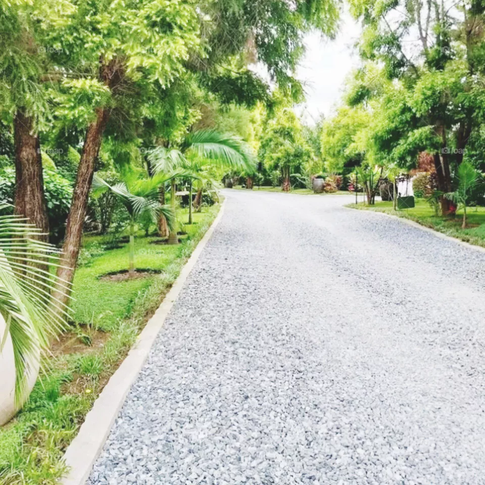 Road