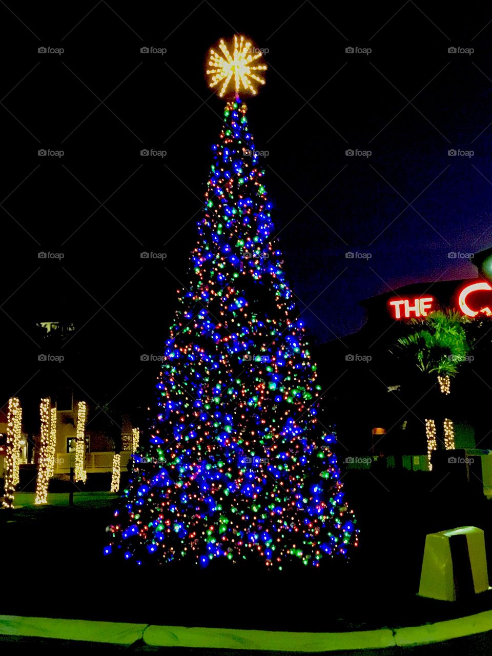 A giant, colorfully lit Christmas stand erect as it adorns multicolored lights to show the spirit of Christmas