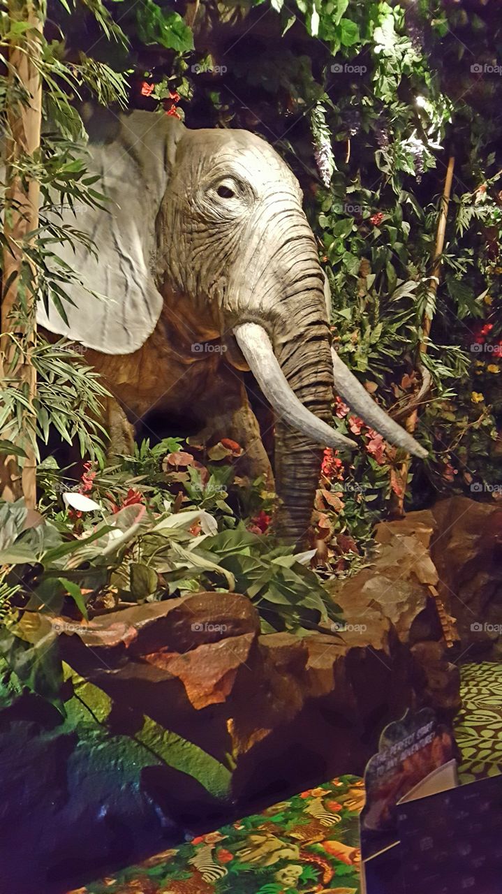 Beatiful African Elephant