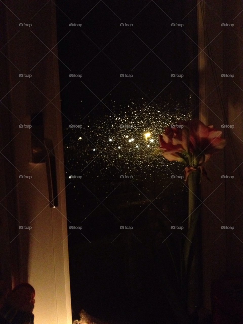 dark early morning raindrops om window flower by liselott
