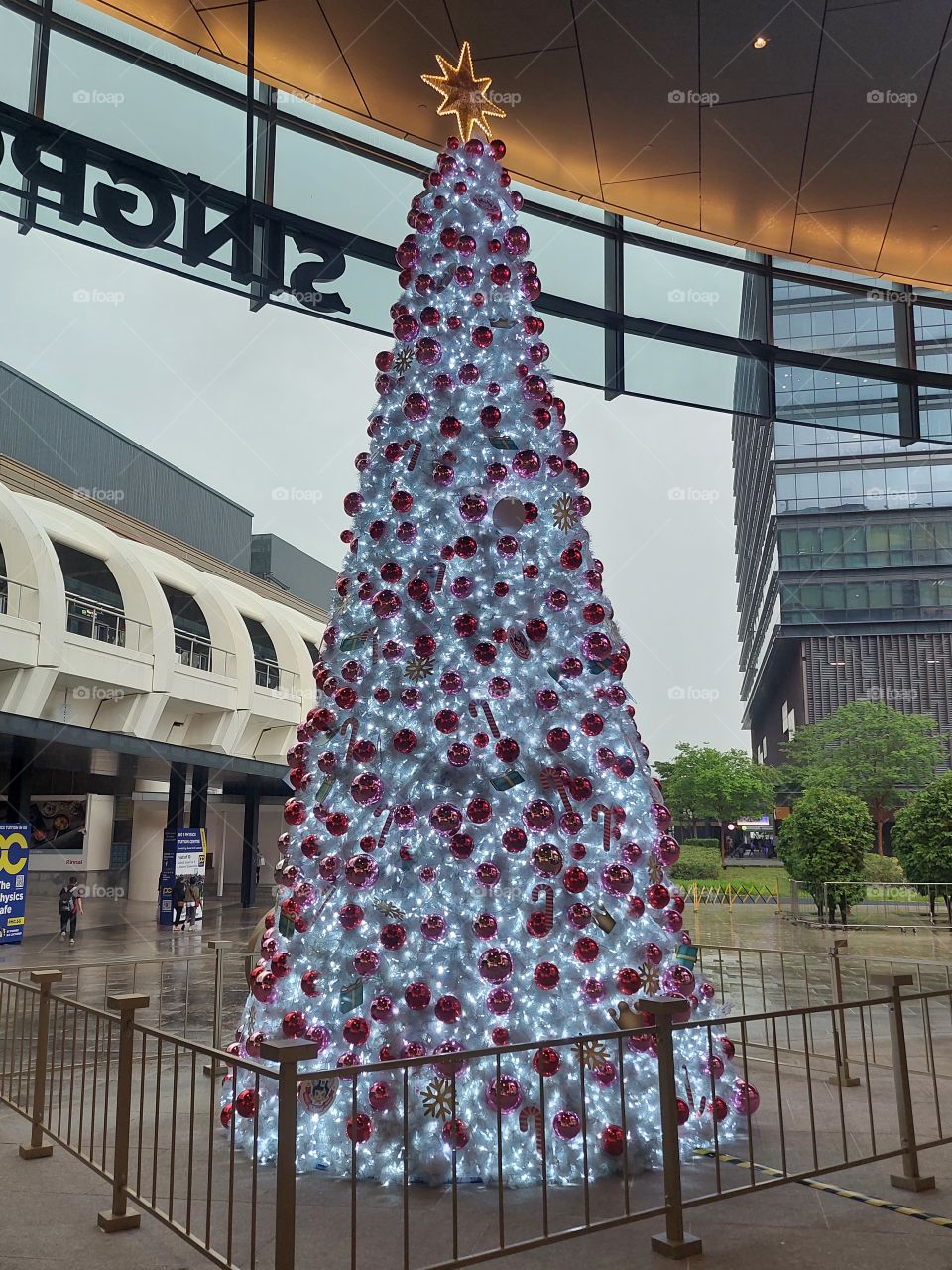 Christmas is at the corner, merry Christmas to every foaper!