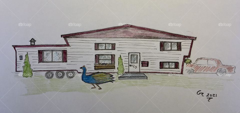 Bi Level Mobile Home