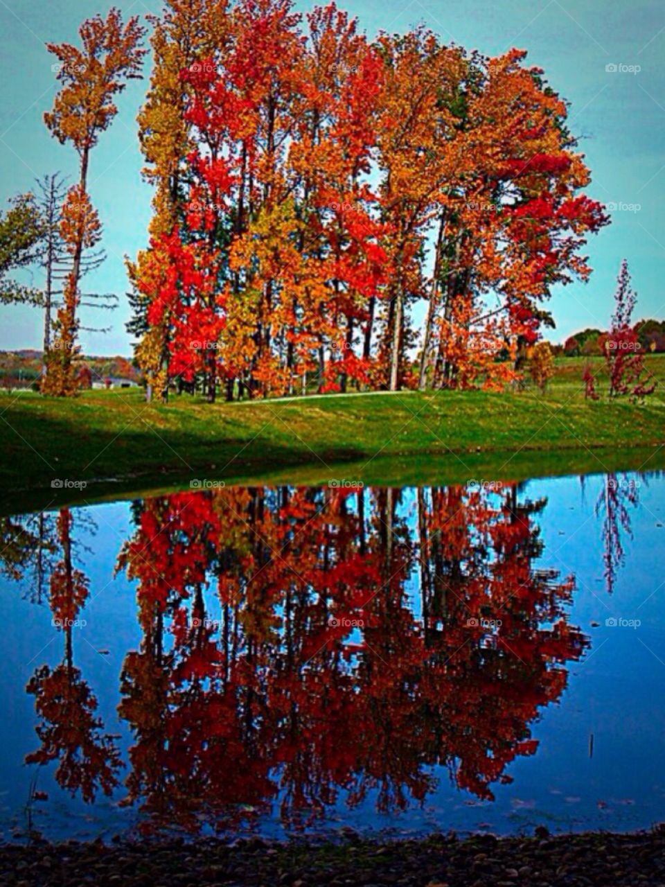 FALL REFLECTION 