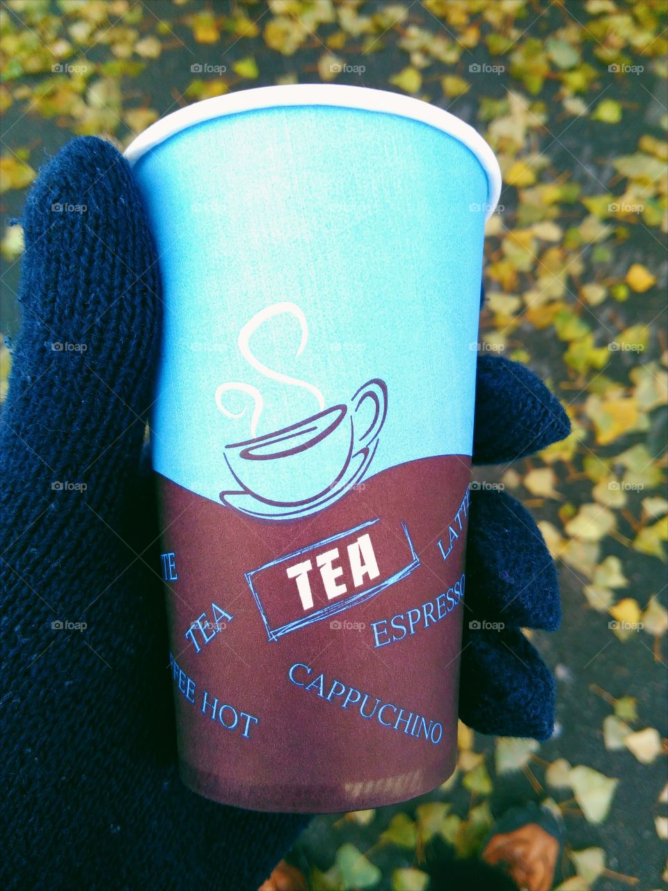 in the hands of the tea paper cup