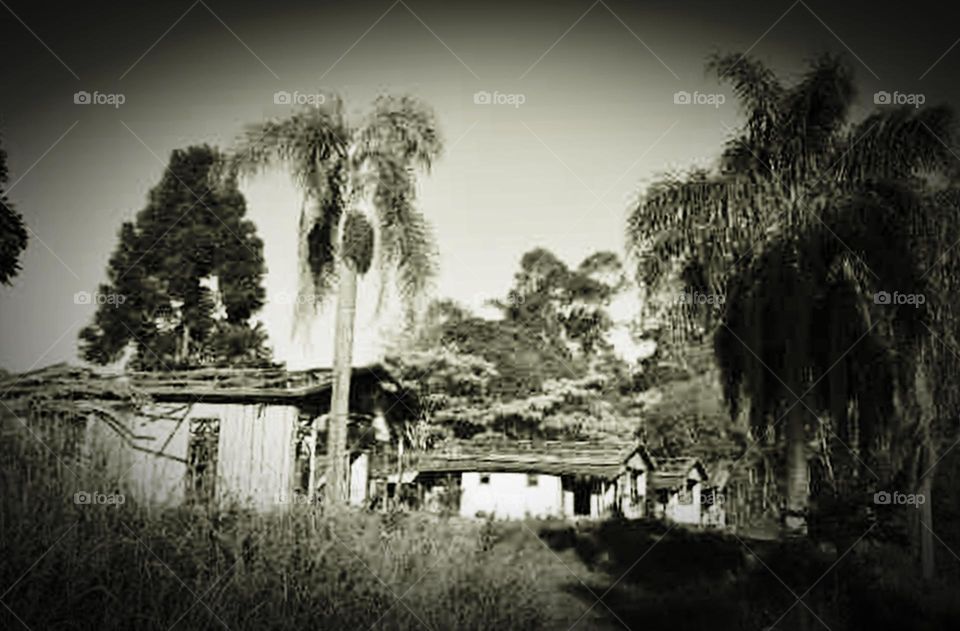 Paisagem em preto e branco